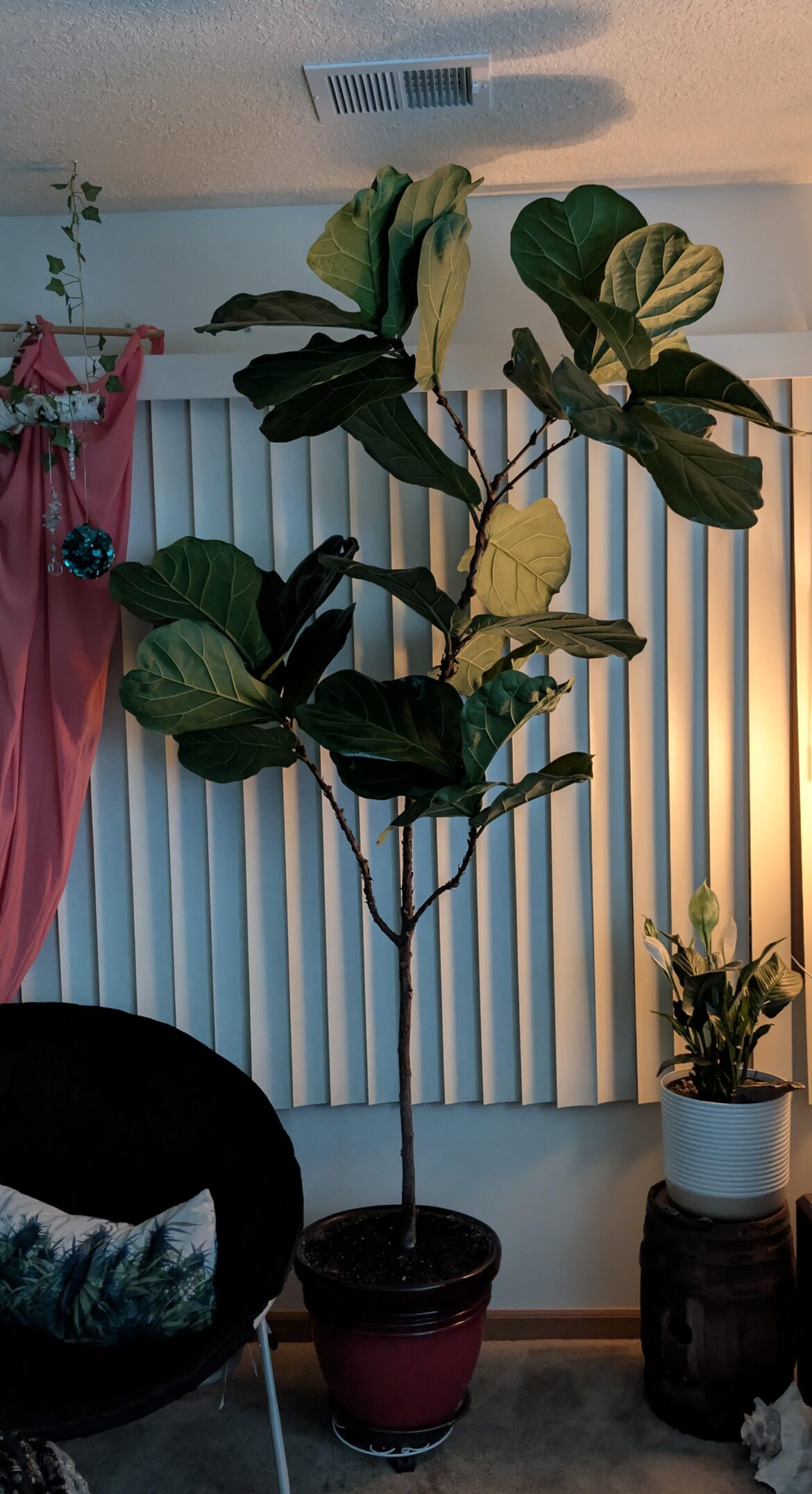 How does she look?