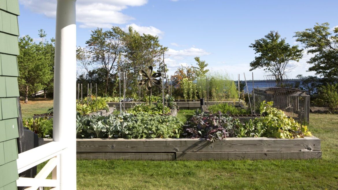 Resilient Vegetables to Plant in April: Plus Planting Tips A raised bed vegetable garden surrounded by grass outside a house next to a lake