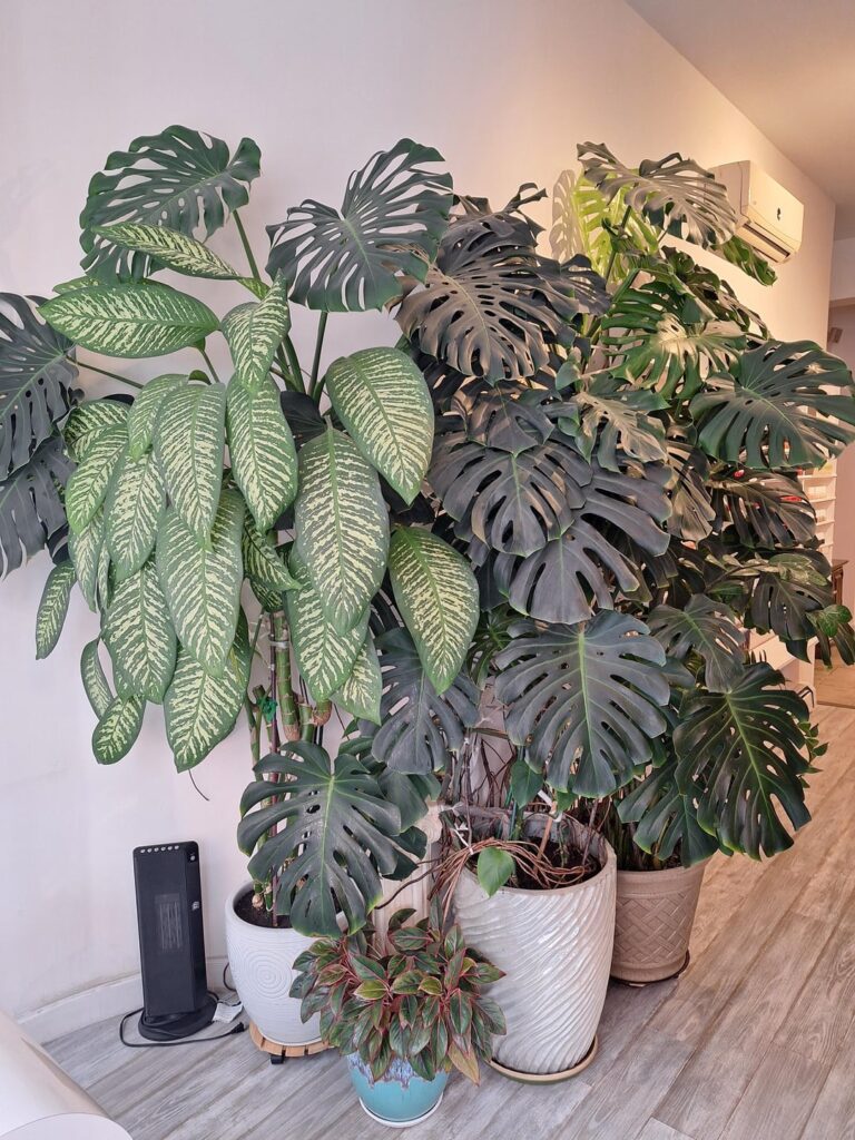 These beauties at my nail spa