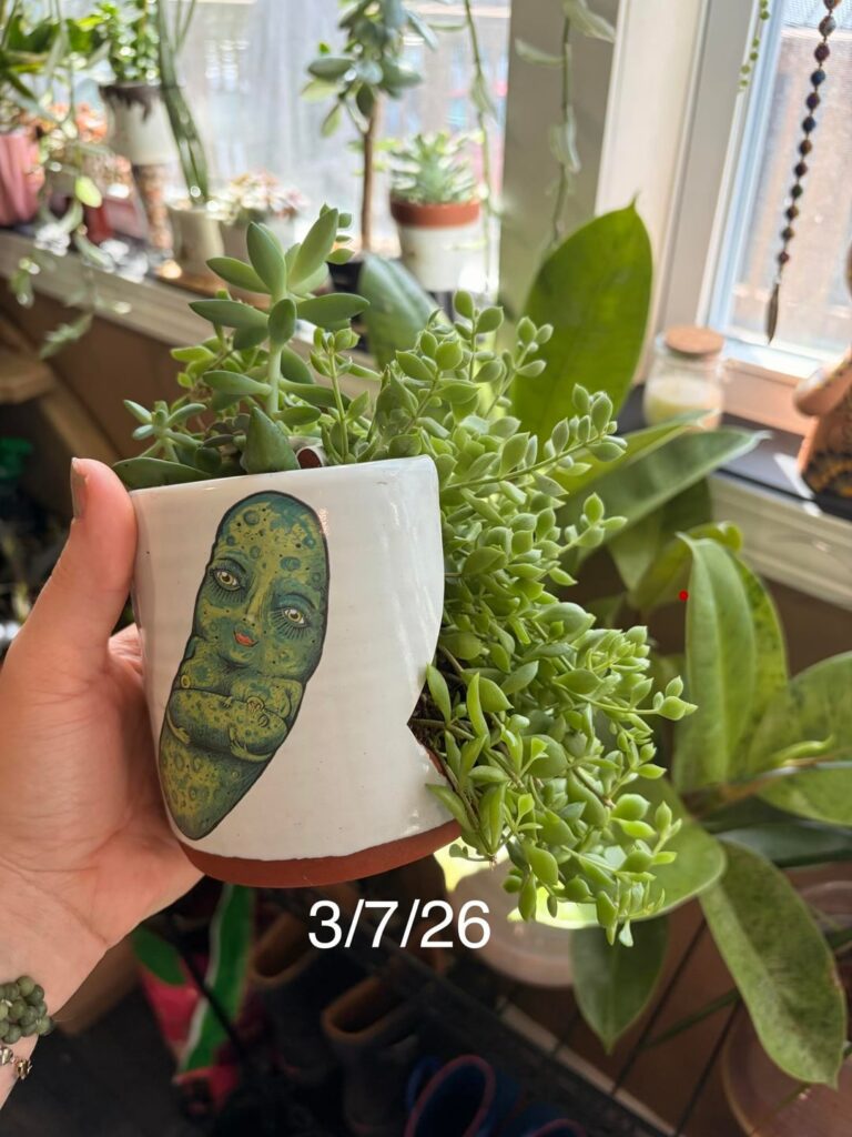 8 month progress