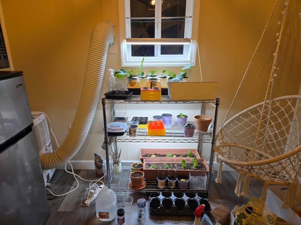 What is this? What is this?