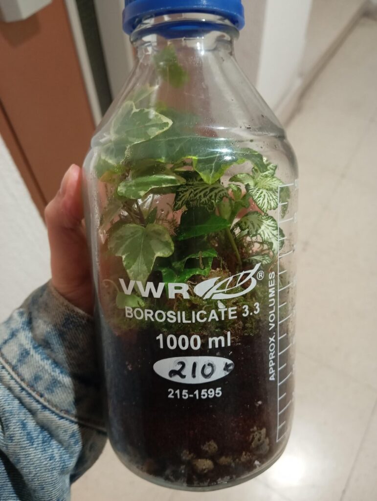 A gift for a chemist friend