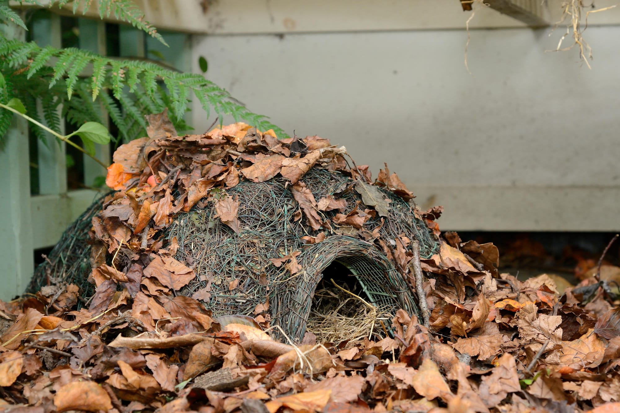 A hedgehog shelter covered in leaves
