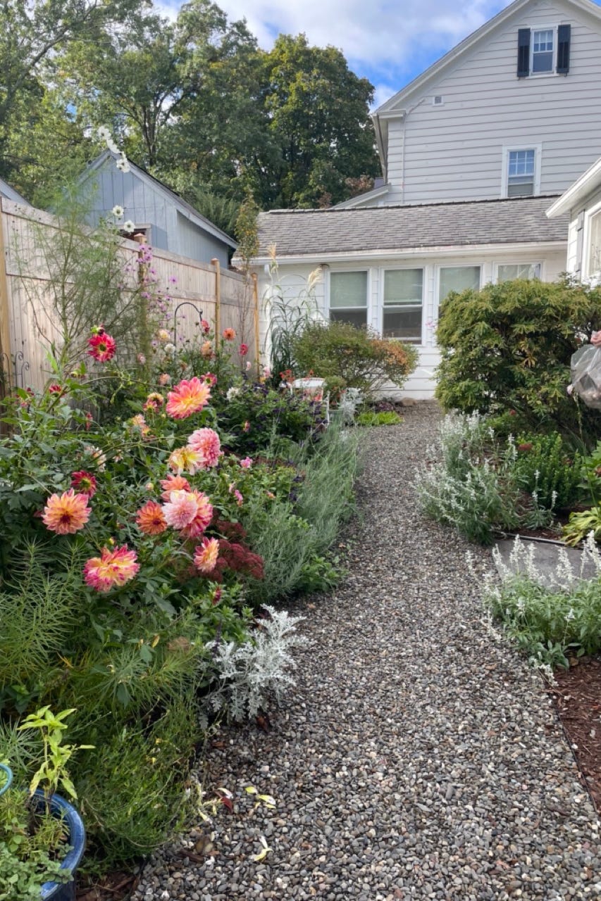 garden pathway bordered by vibrant flowers and greenery