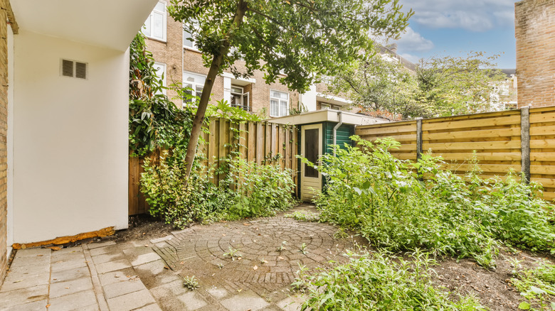 small enclosed backyard
