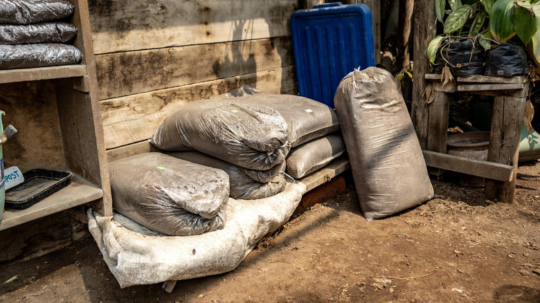 Bags of soil are piled up beside the wall of a garden shed.