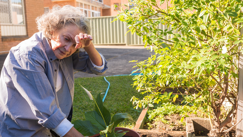 An older woman wipes her brow, tired from working on her garden in the heat.