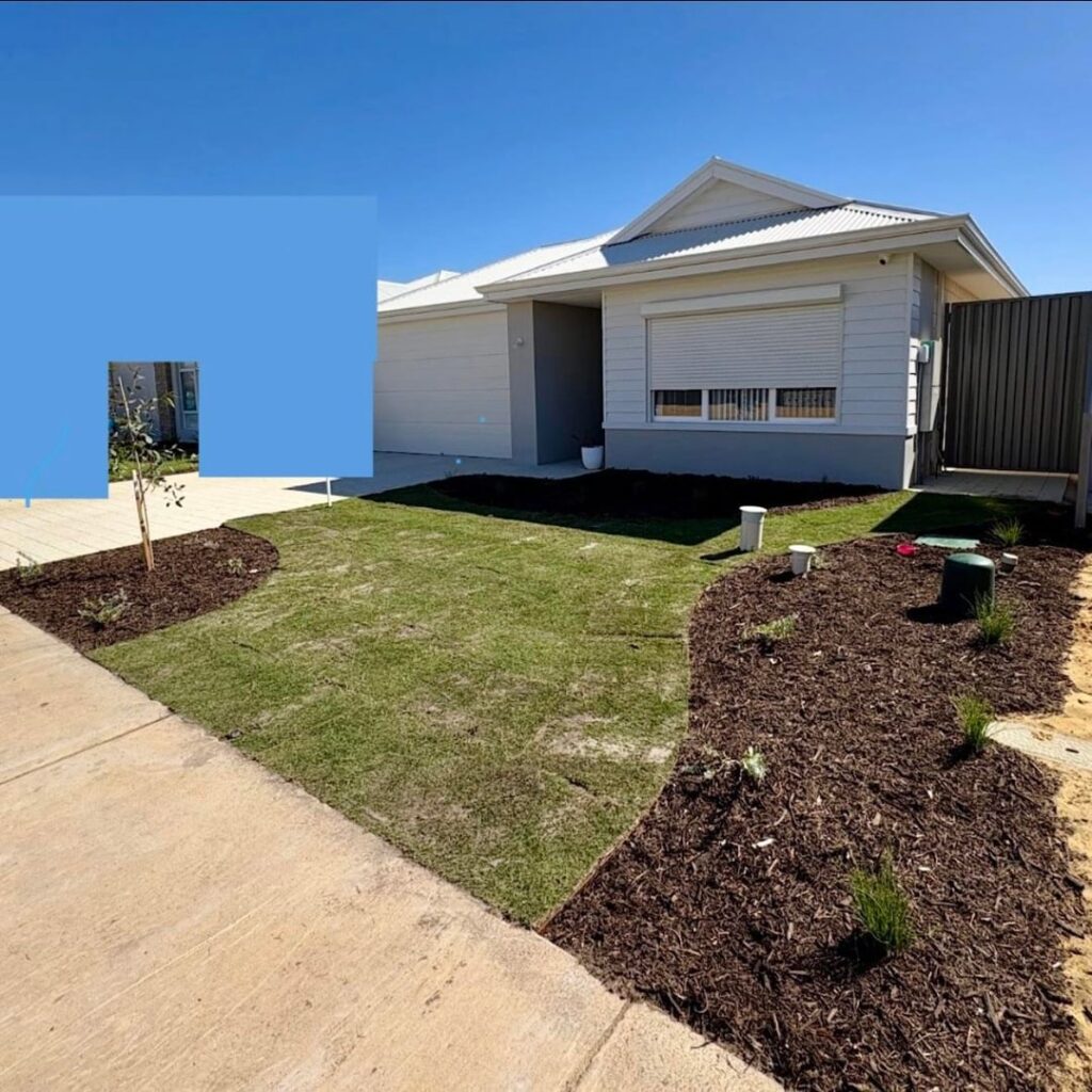 1 year of growth. Highly considering grass removal for move native, keeping gate access though, thoughts…