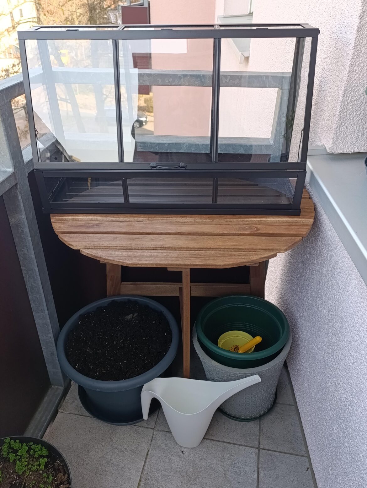 What Herbs/Plants can I grow here? What Herbs/Plants can I grow here?