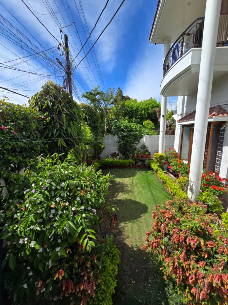 How to improve Home lawn looks