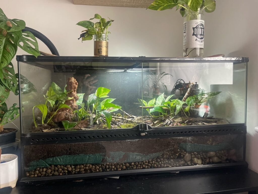 Added a humidifier to my tank