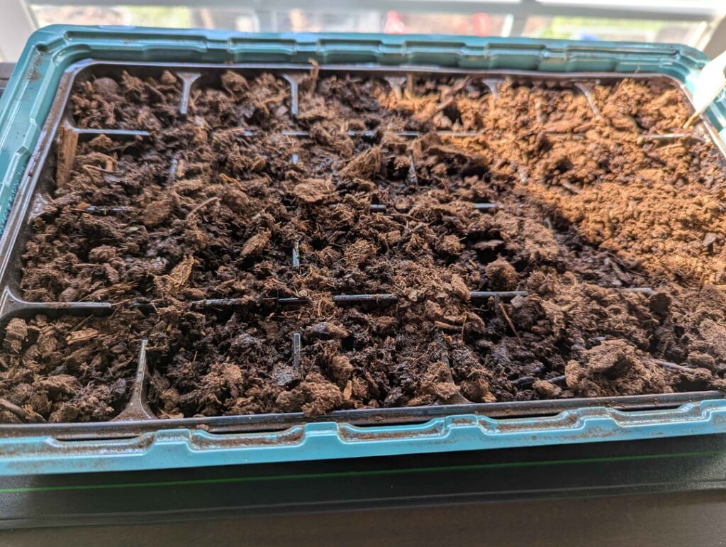 Made the mistake of seeding dry peat. Please help!