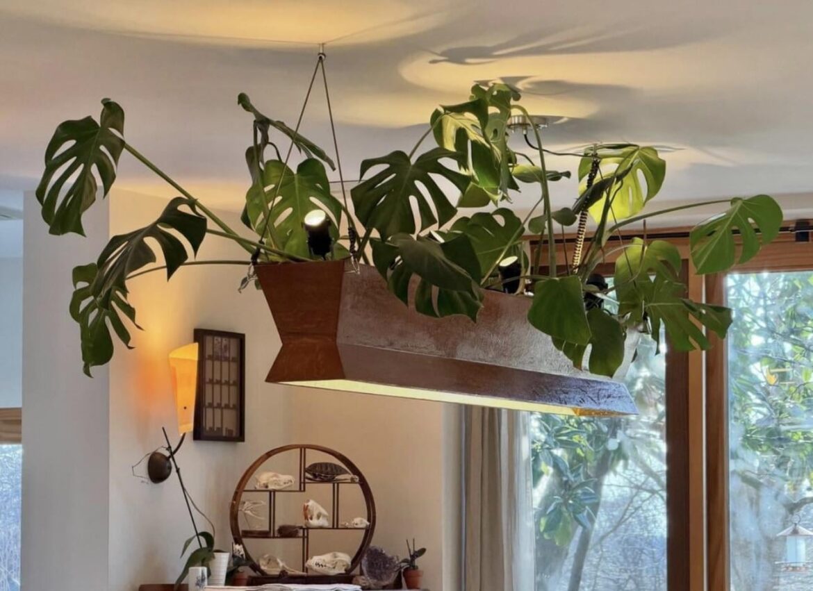 Built a cool new home for my monstera!