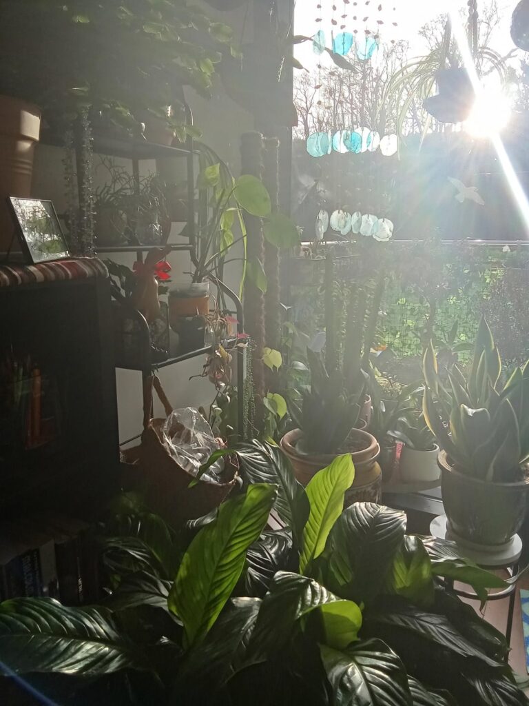 My happy place.