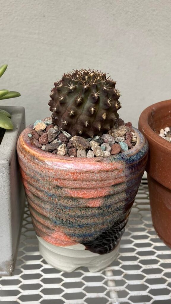 glaze experiment pots for my little guys