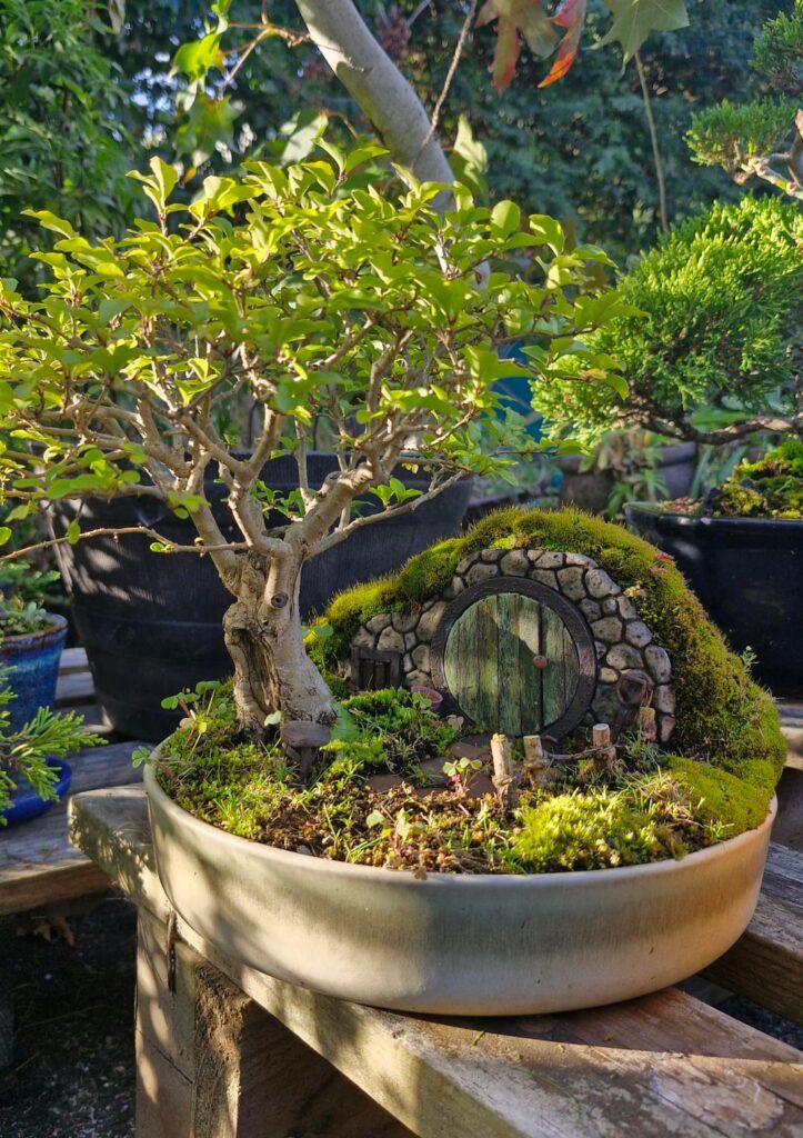 My hobbit house