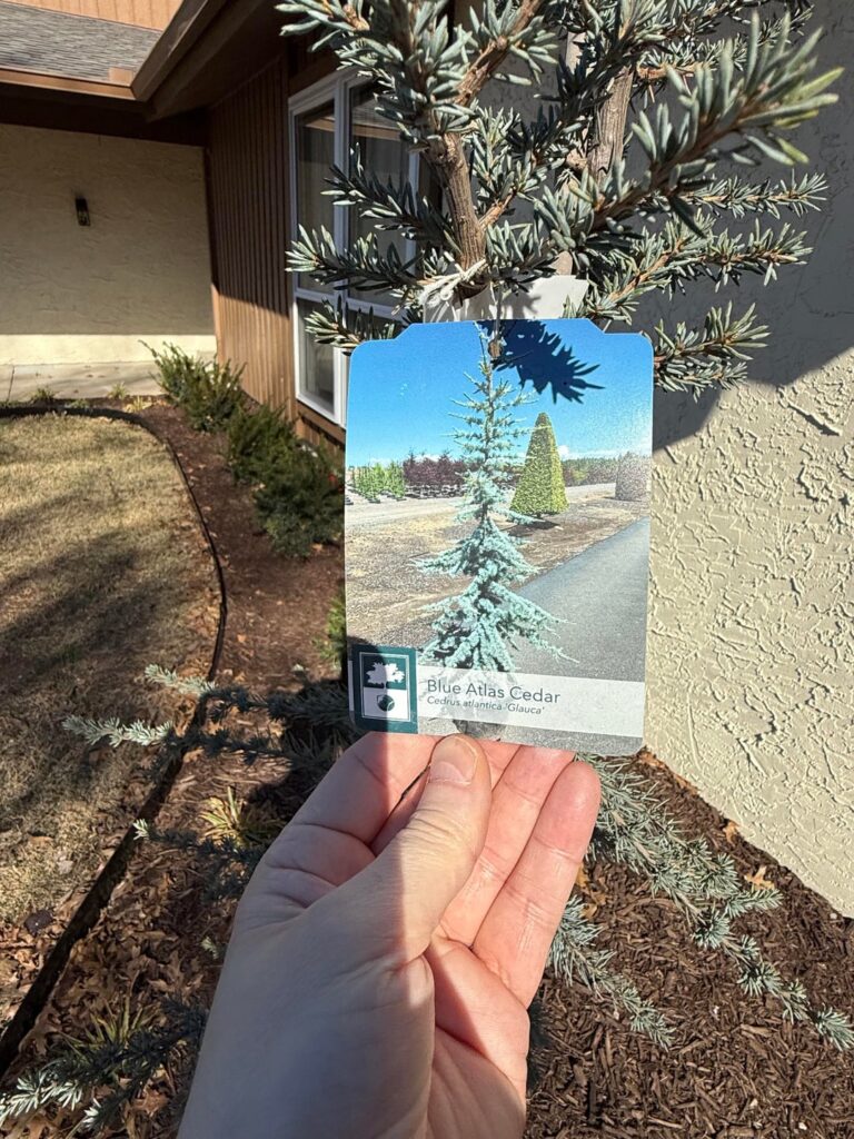 Is landscaper an idiot?