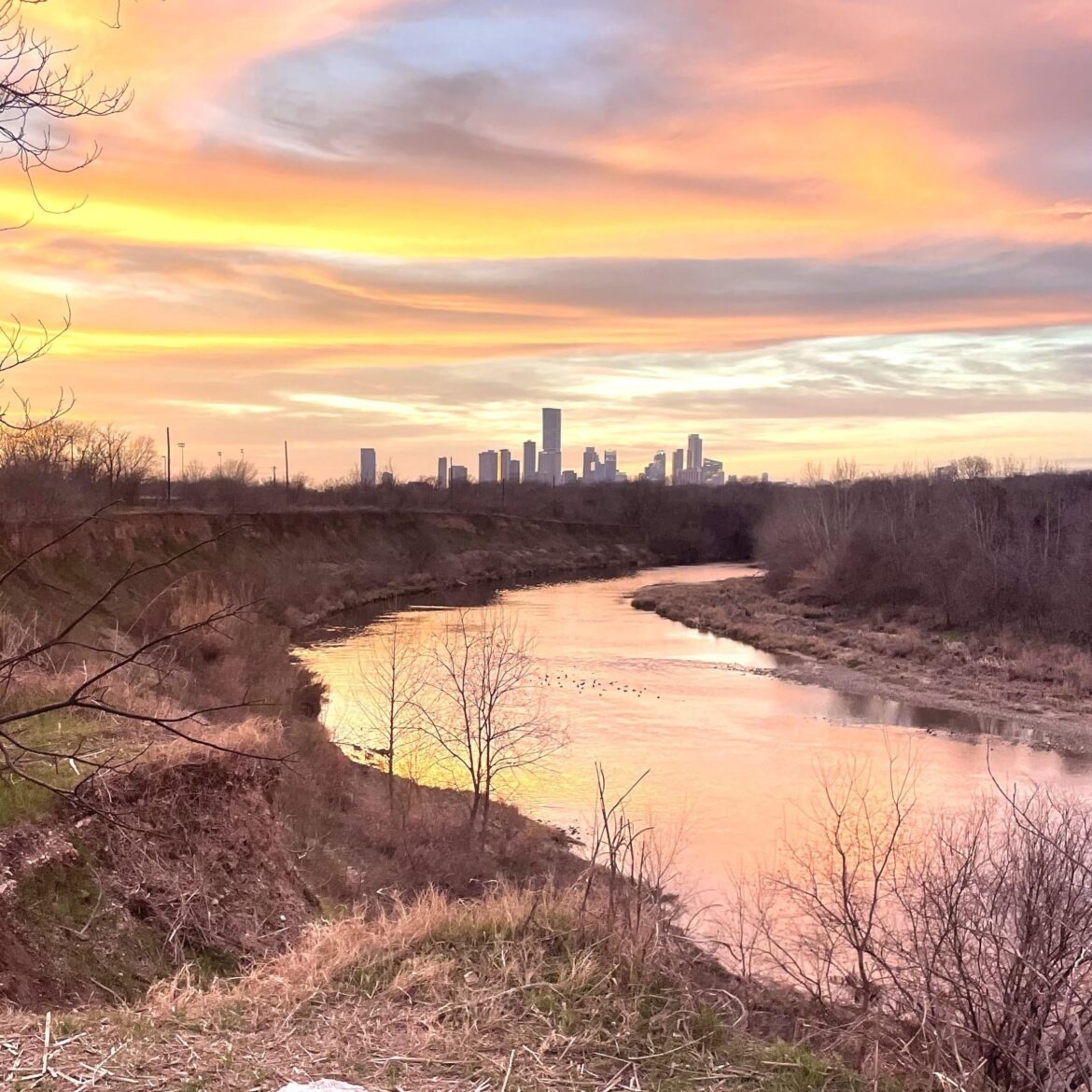 Bird Bluff Trail Cleanup in Roy G Park for Keep Austin Beautiful Day (Sat 4/18) 🌿🐦