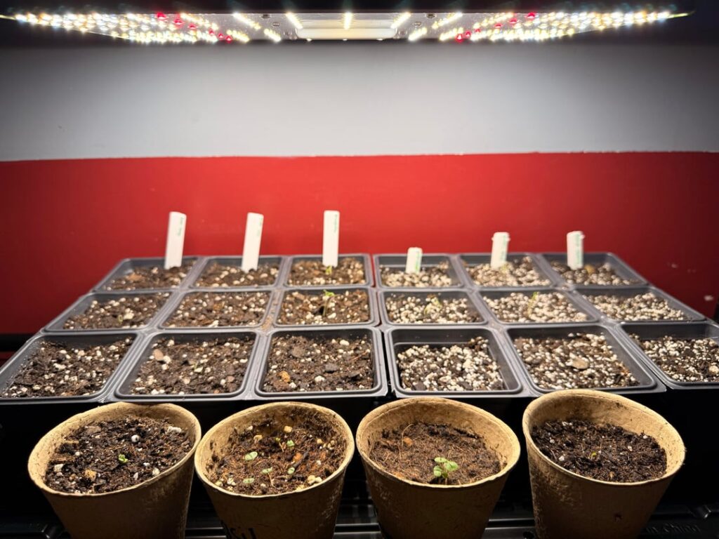 Is my light too strong?