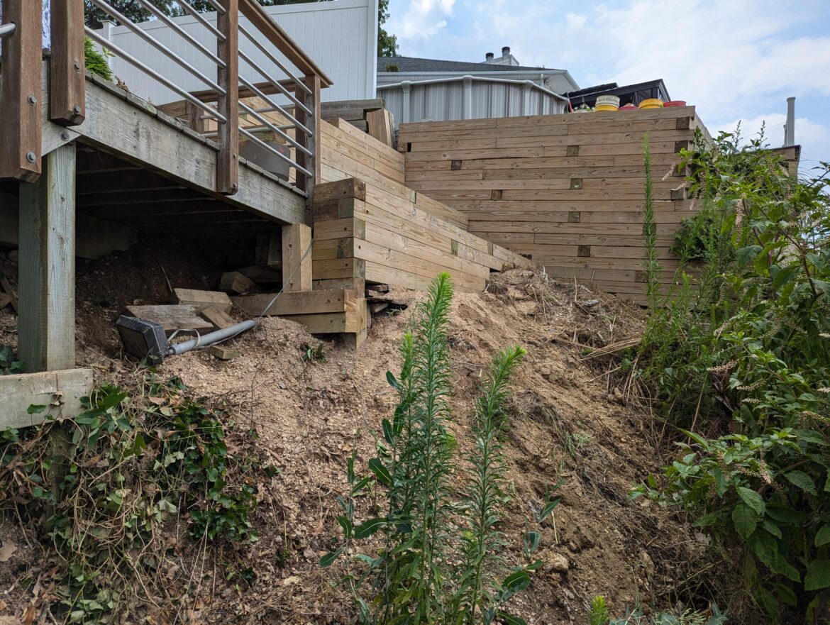 Long Island, NY: black locust, fragrant sumac, or Virginia creeper for erosion control of steep sandy hills?