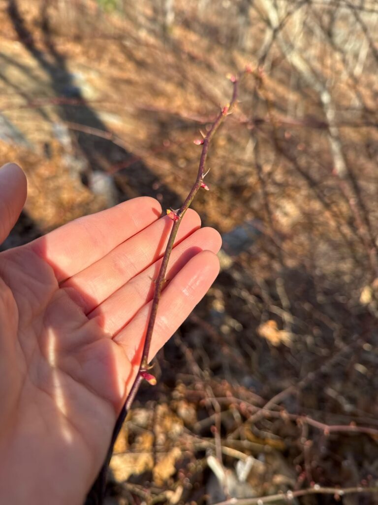 Location Southbury Connecticut