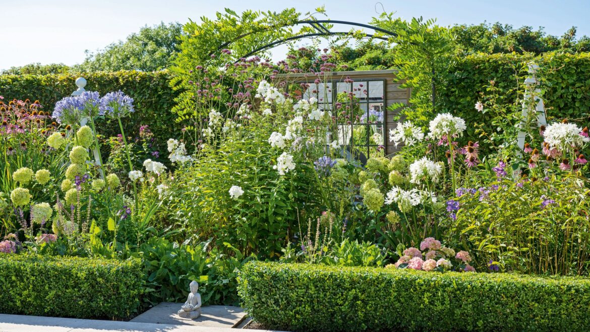 5 perennial plants to divide up in March 5 perennial plants to divide up in March