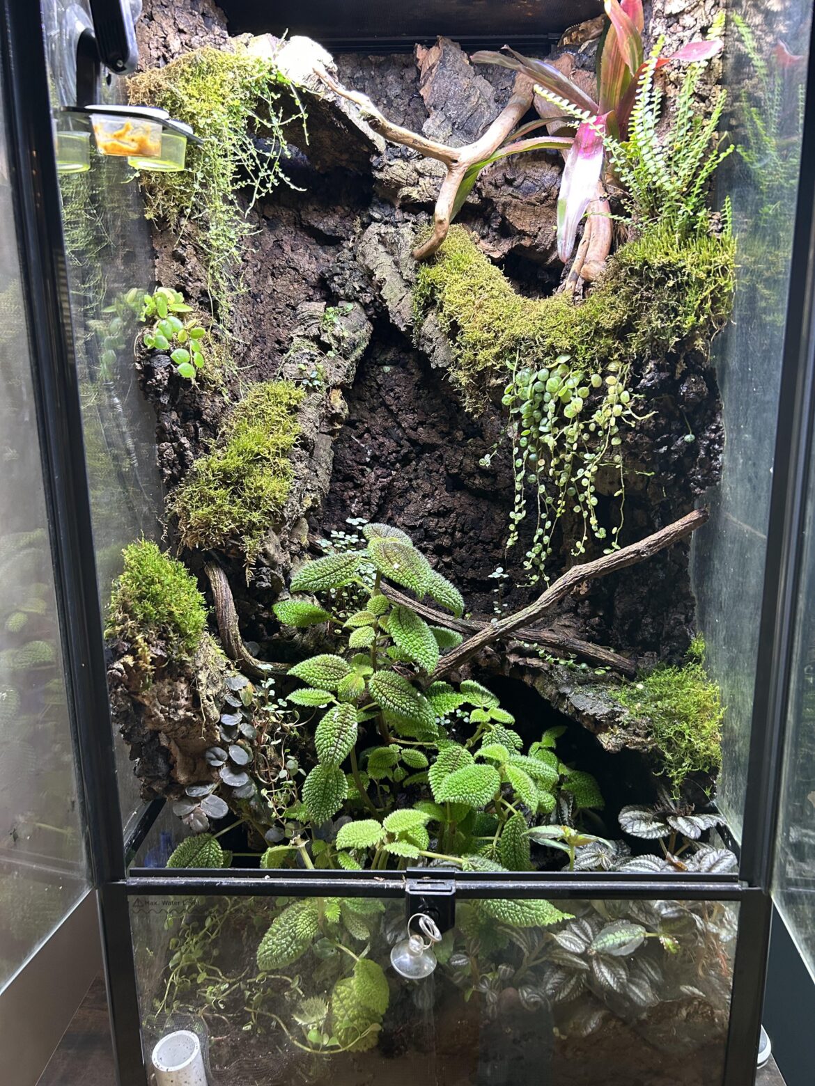 8 Month Update!