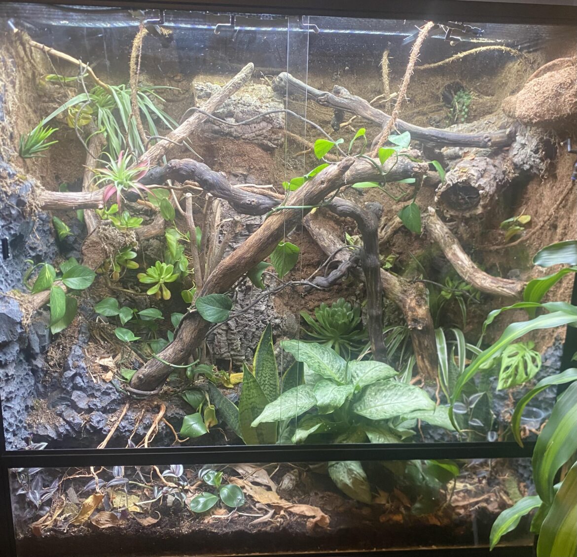 Enclosure Feedback