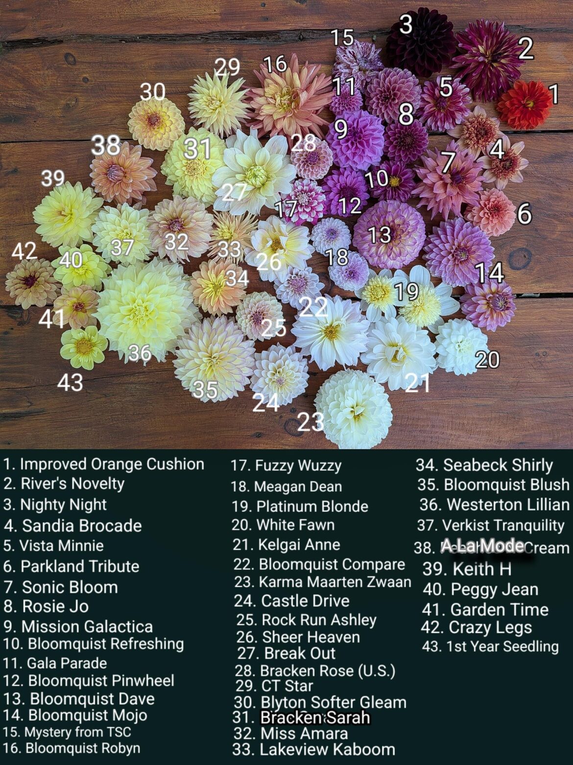 Fancy potatoes for sale :)