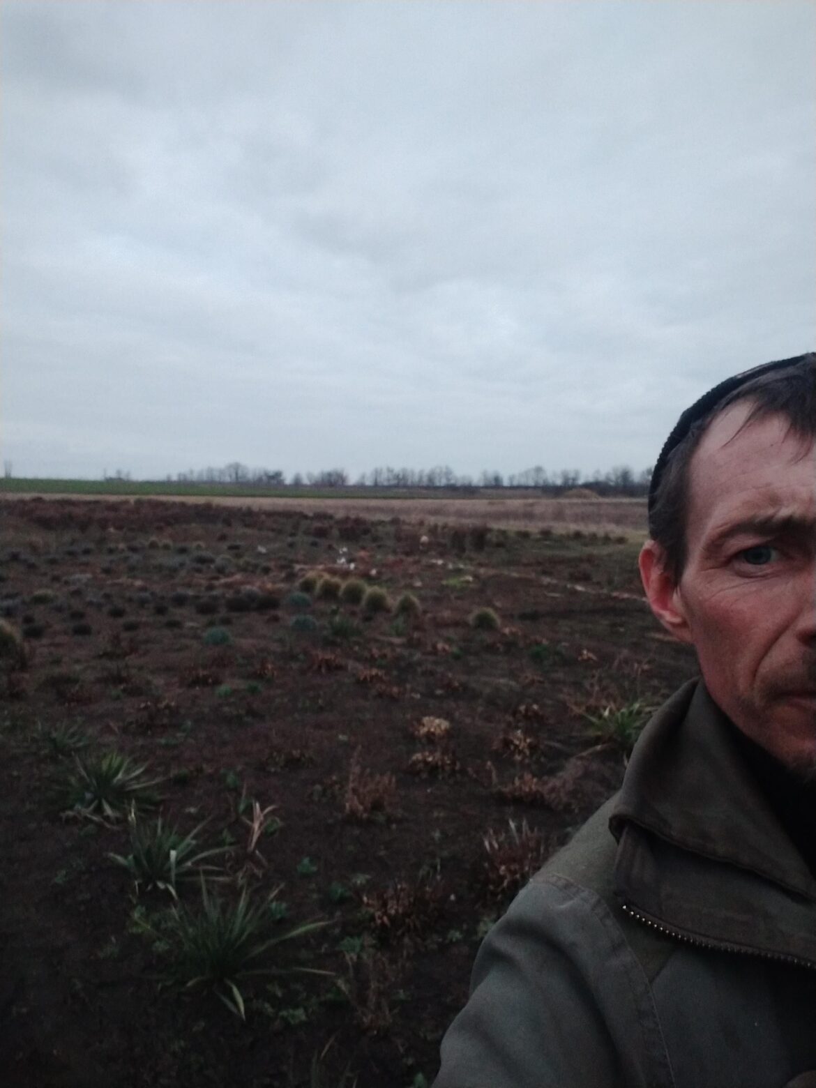 Starting with 12 sotok of land – trying to grow flowers Starting with 12 sotok of land – trying to grow flowers