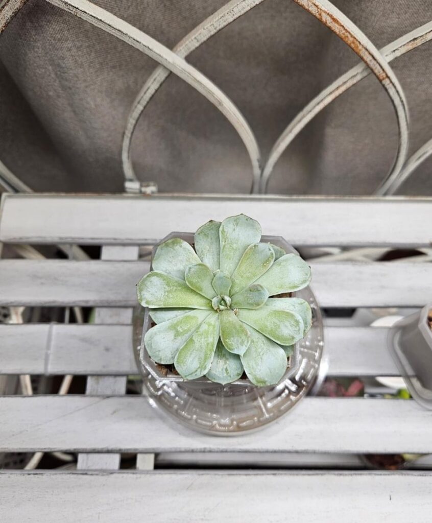 A 6 month transformation