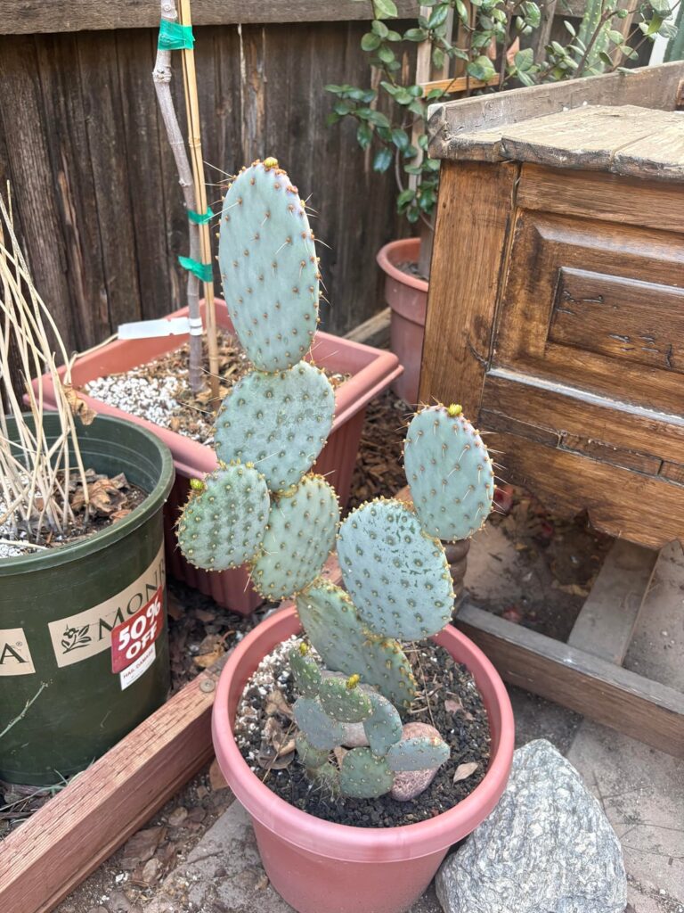 yay for new growth !