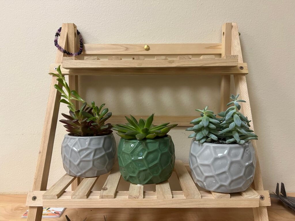Beginner – Tips & Advice Appreciated Beginner - Tips & Advice Appreciated