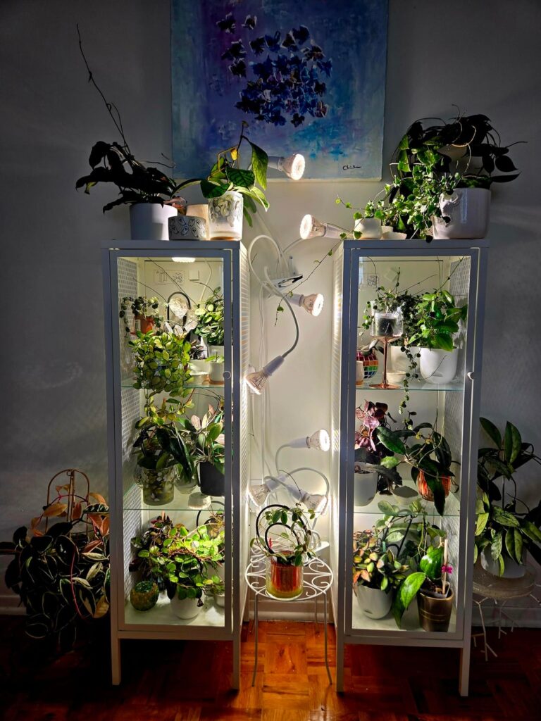 My way of enduring the 5 winter months without pills haha