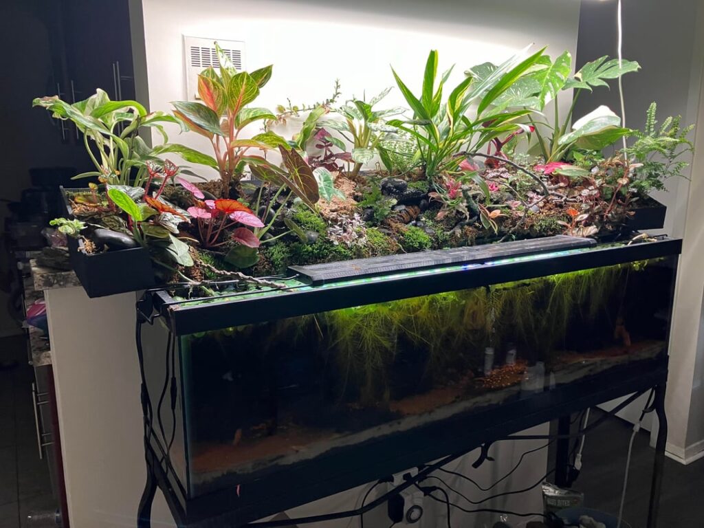 Open top 33g update and AMA