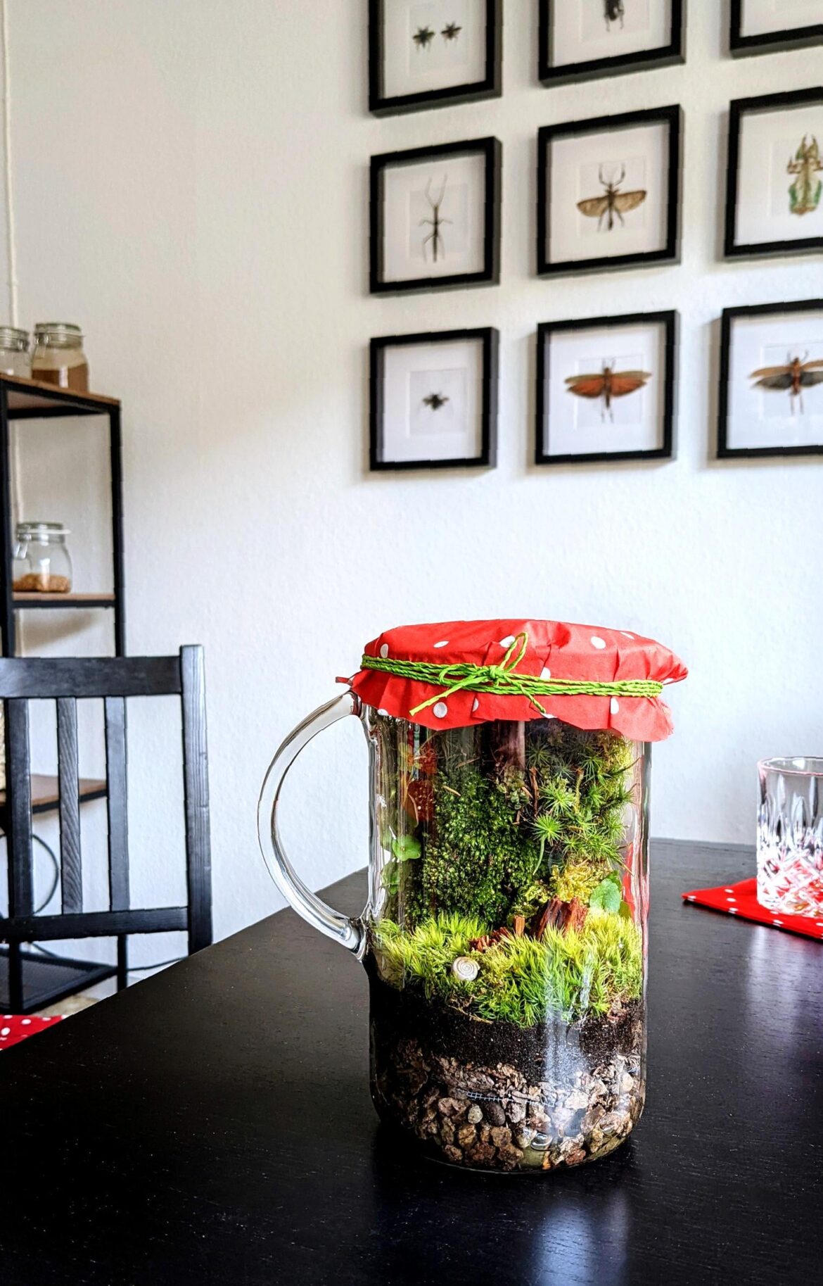 This sub seems to be quite appropriate - Pitcher mossarium