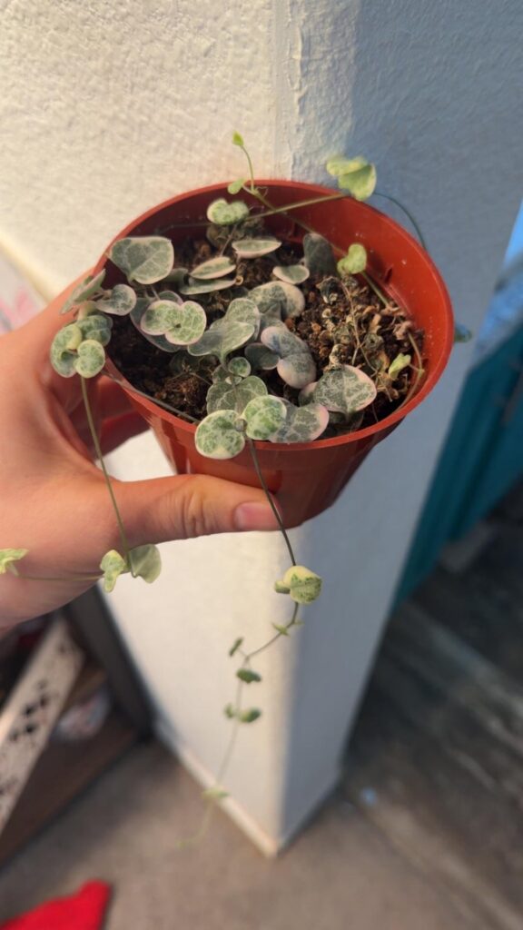 How do I make my hearts happier?