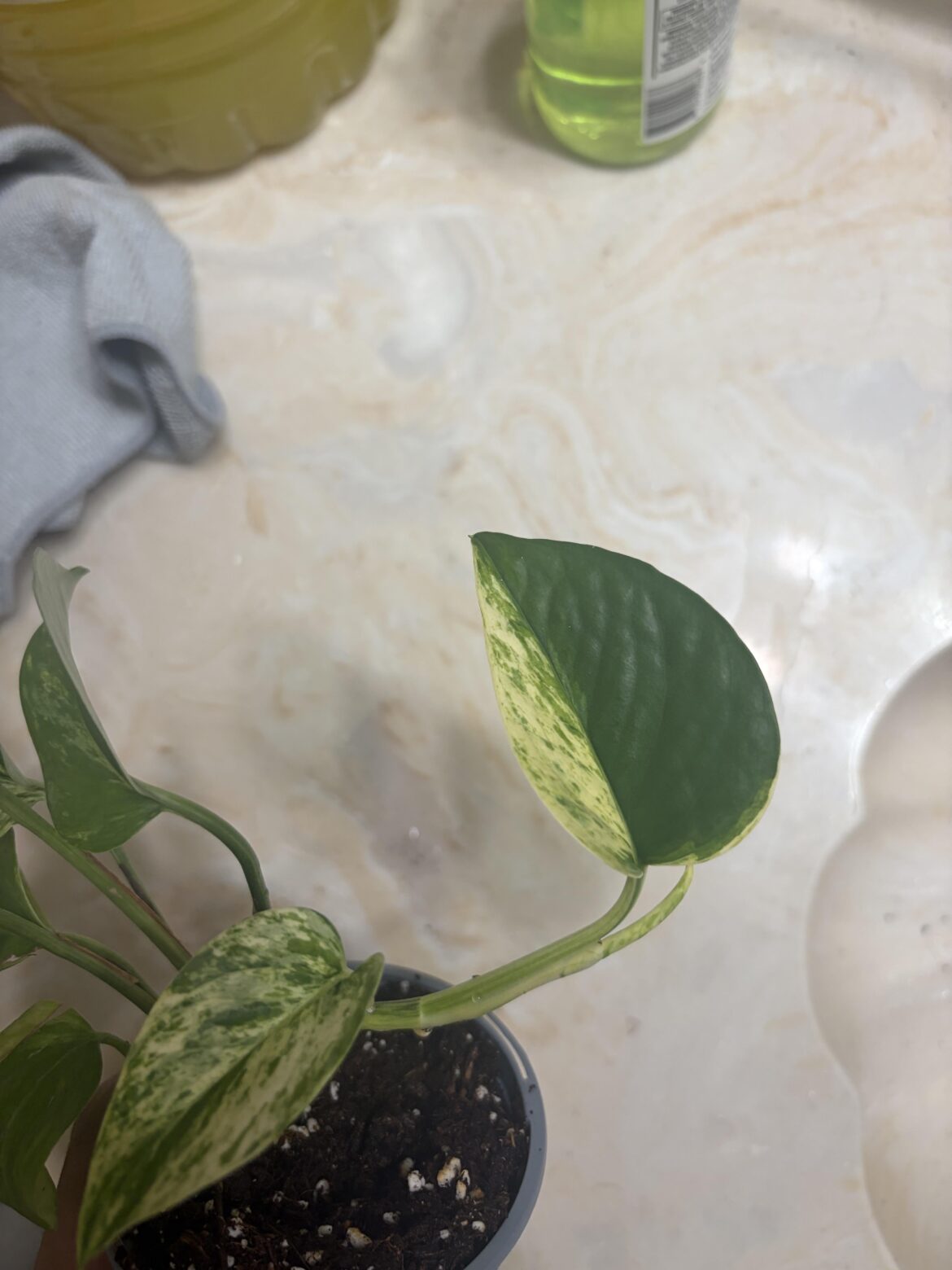 How does this happen