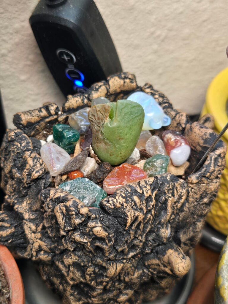 Is this one a goner?