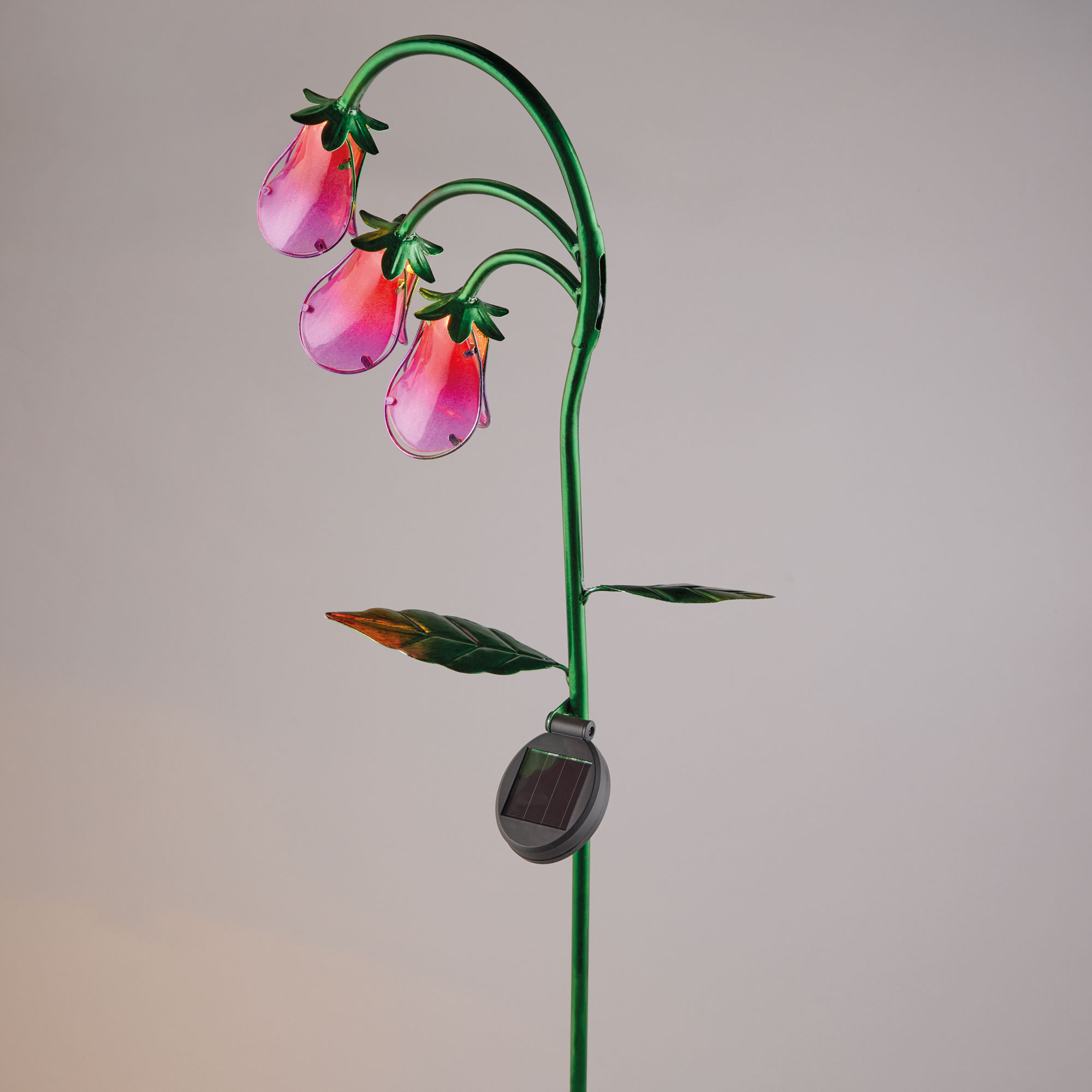 Aldi, Solar Glass Flower Stakelight