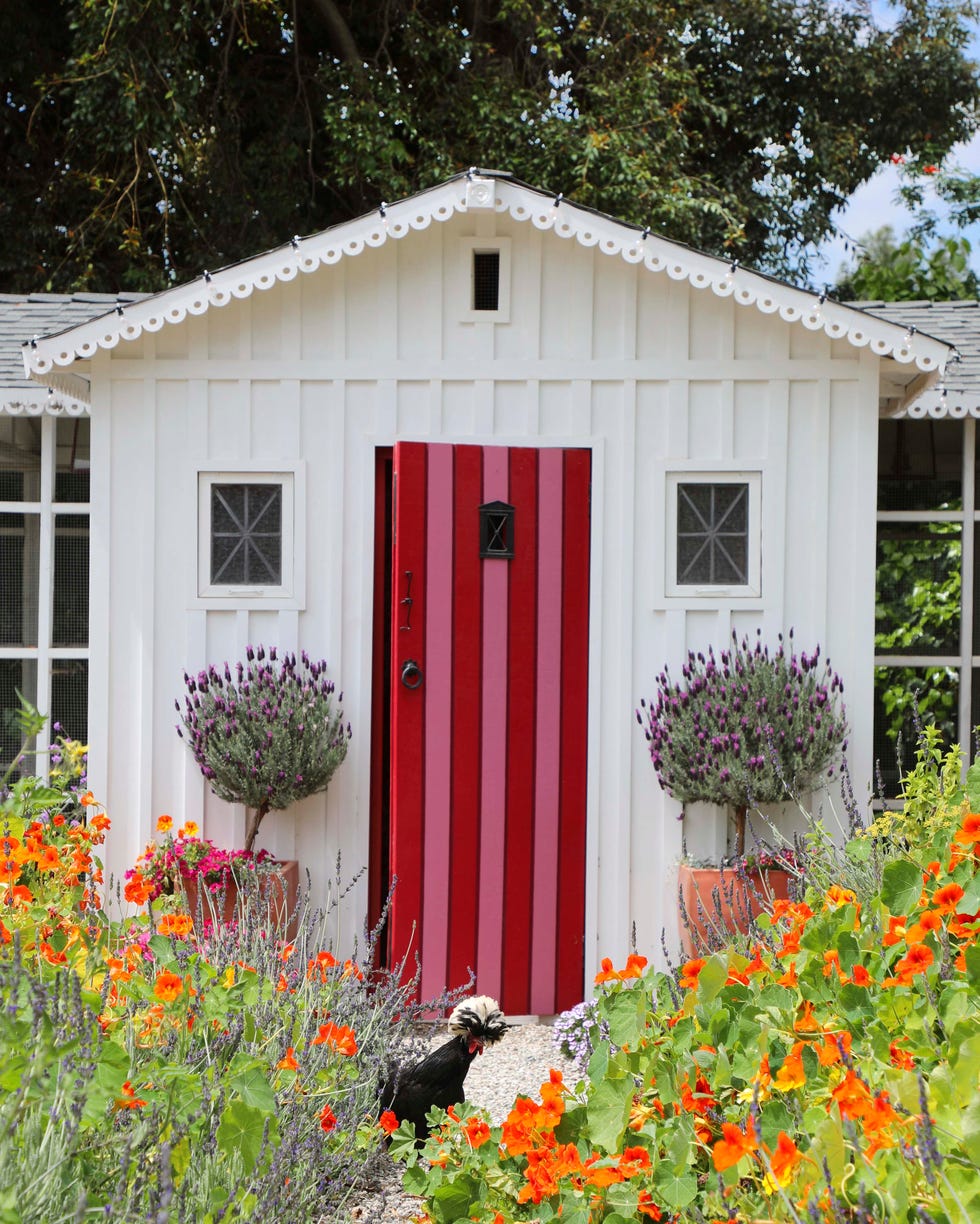 a white chicken coop with a pink and red striped door a white chicken coop with a pink and red striped door