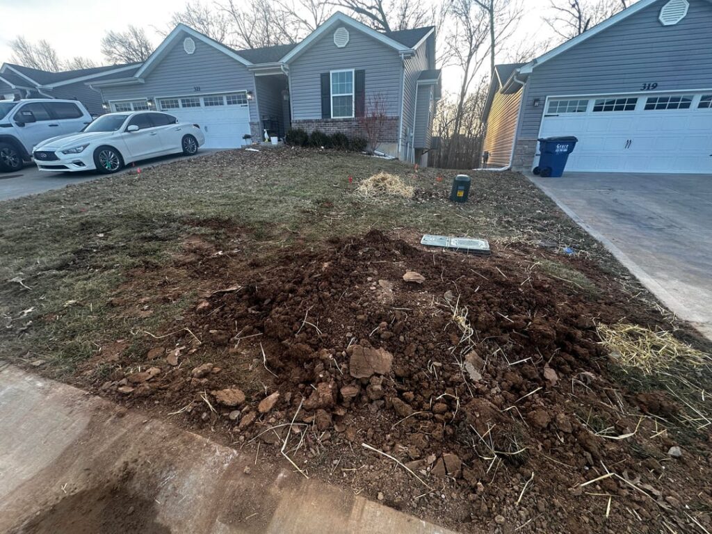 My lawn got hit by the worst disease this winter: Spectrum. Zone 6b