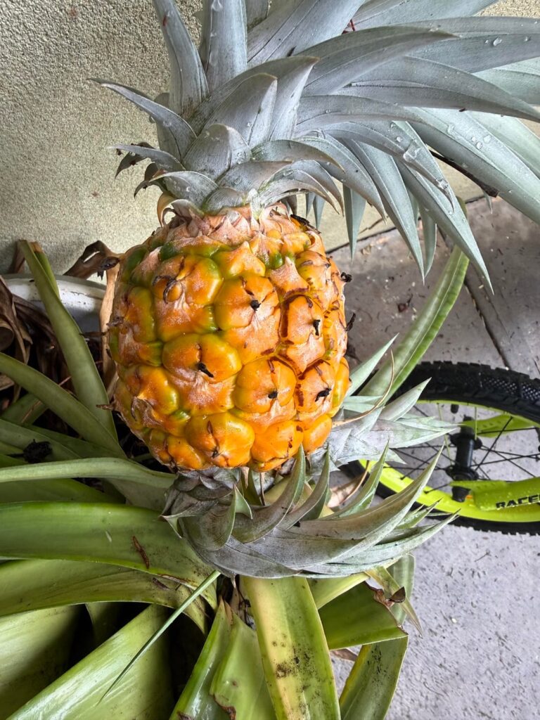 Gutted. Absolutely gutted