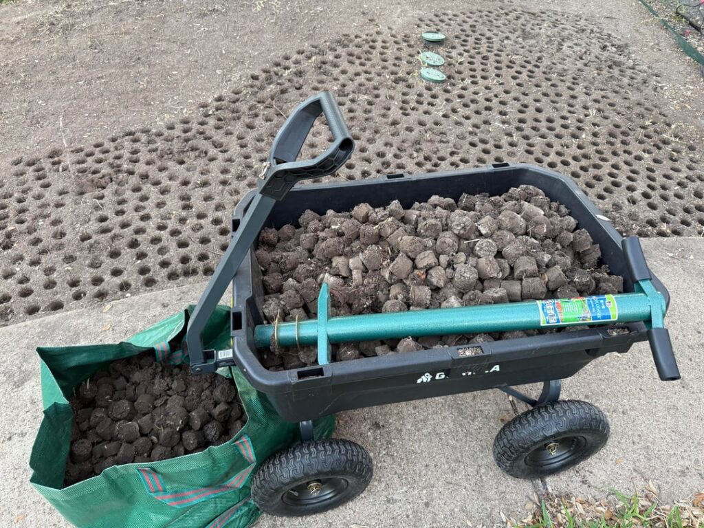 Sod prep - smart or dumb