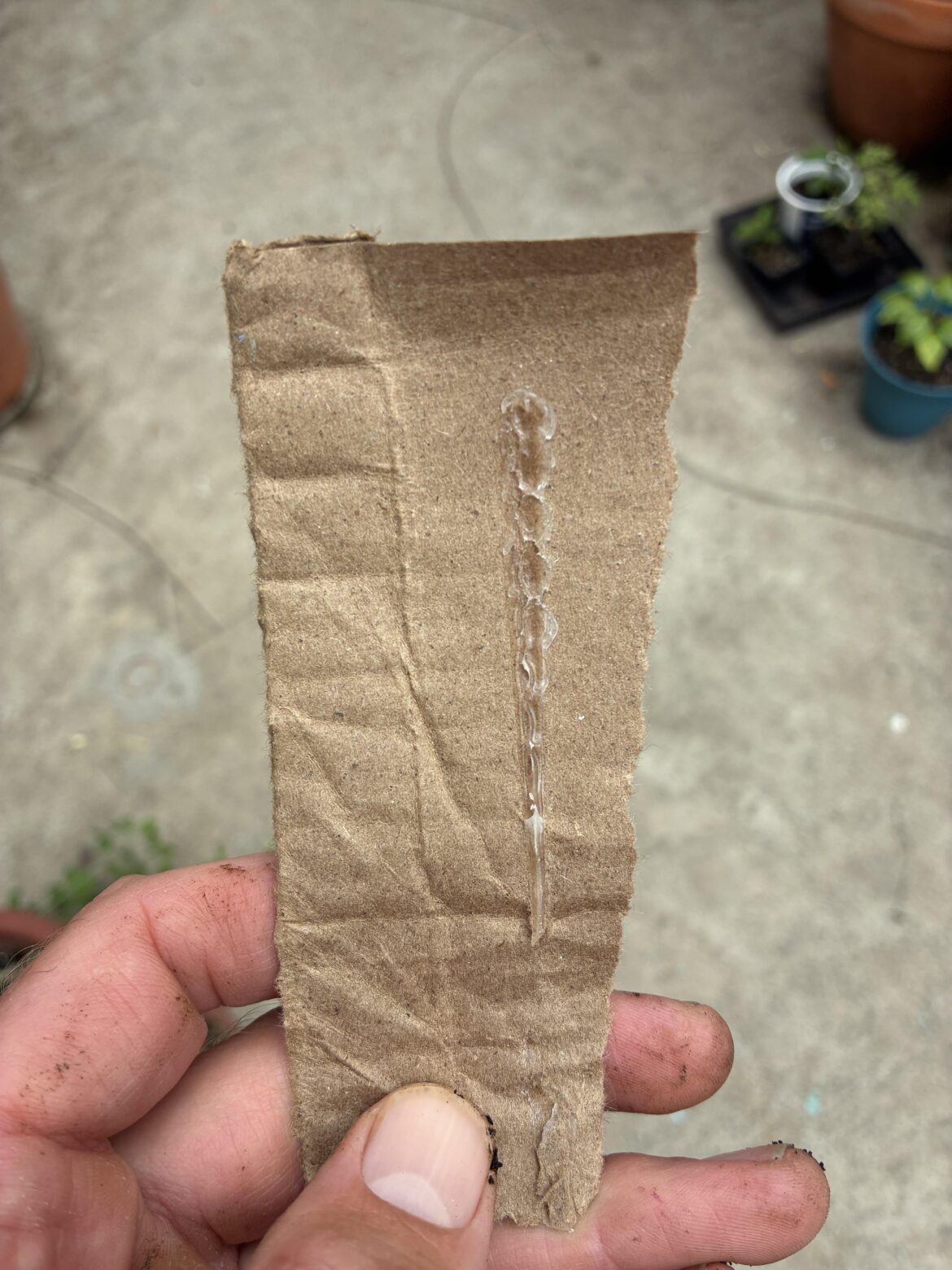 1-10 how much do you care about glue on cardboard?