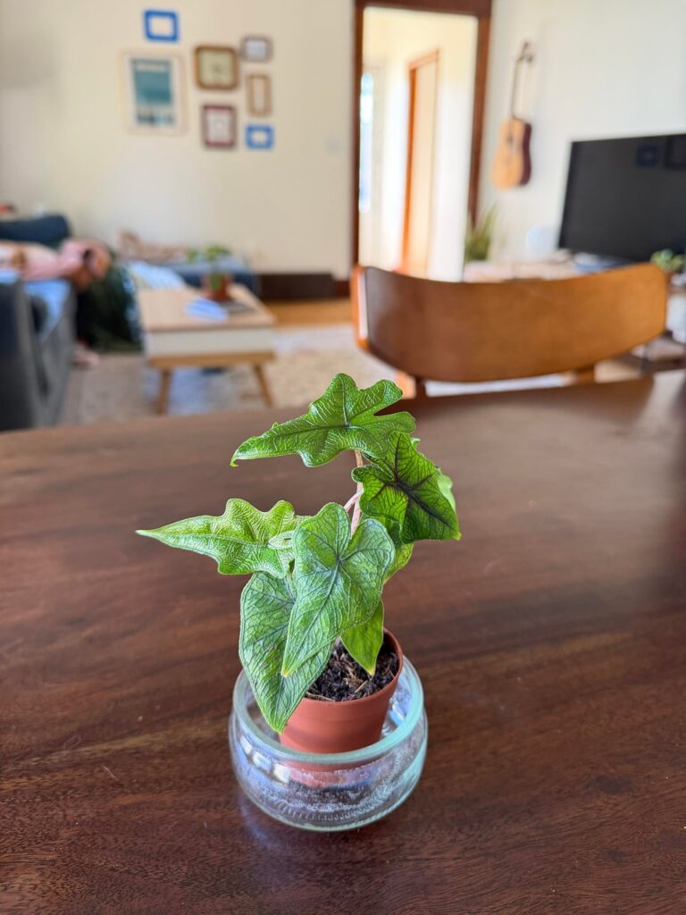 Ain’t broke don’t fix it?