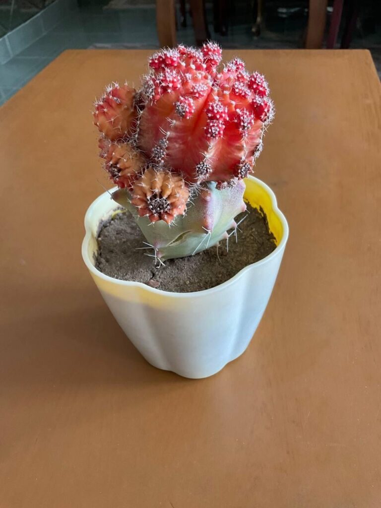 What’s wrong with them?