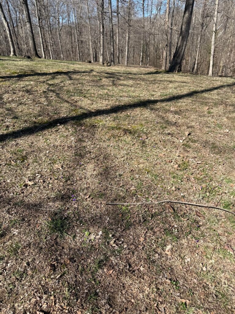 Pick Up Sticks Pick Up Sticks