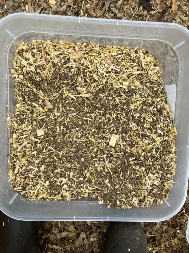 chicken manure