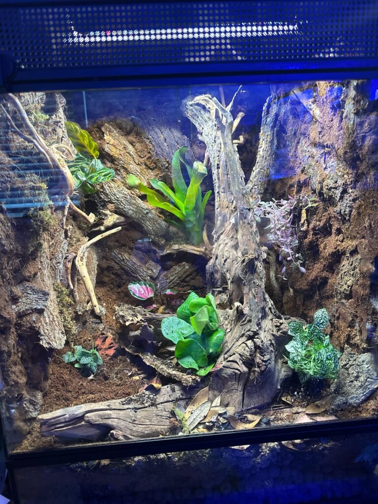 Anything you would change? New to this, thanks!